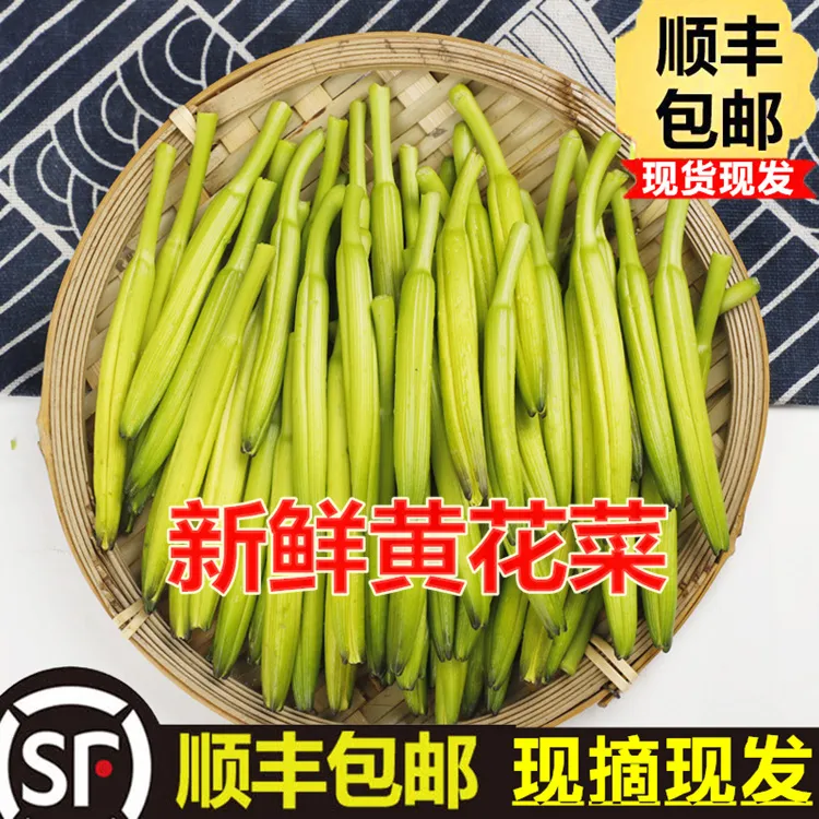 新鲜黄花菜 当季金针菜 萱草蔬菜下饭菜农家土特产酒店食材凉拌菜