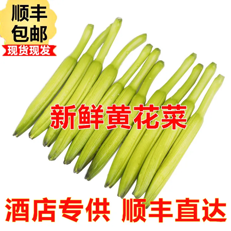 新鲜黄花菜金针菜饭店食材当季蔬菜下饭菜农家土特产2500克包邮