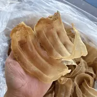 小太阳景云 土鳘公 鱼胶花胶 250g