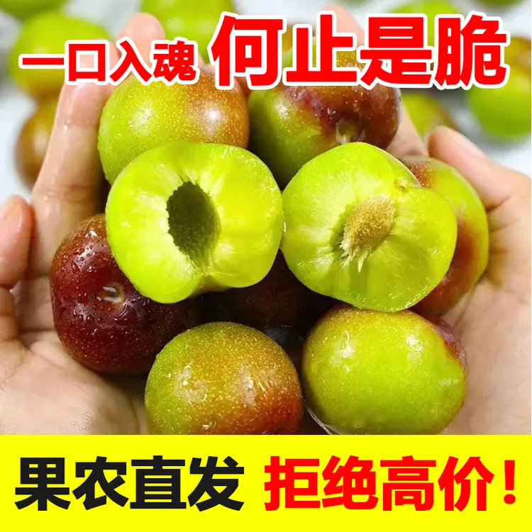 【只做好货】净重5斤茵红李宜宾正宗半边红脱骨李子水果现摘现发