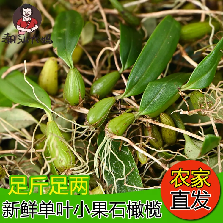 潮汕大妈现采石橄榄新鲜单叶小果石仙桃果上叶煲汤炖汤包材料