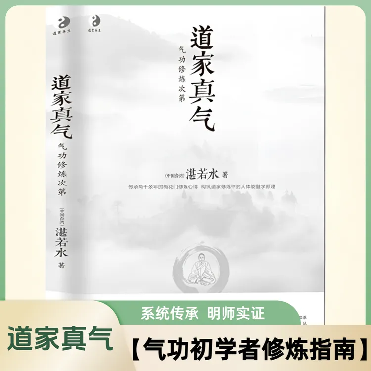 道家真气气功修炼次第湛若水著气功初学者修炼练功入门国学指南