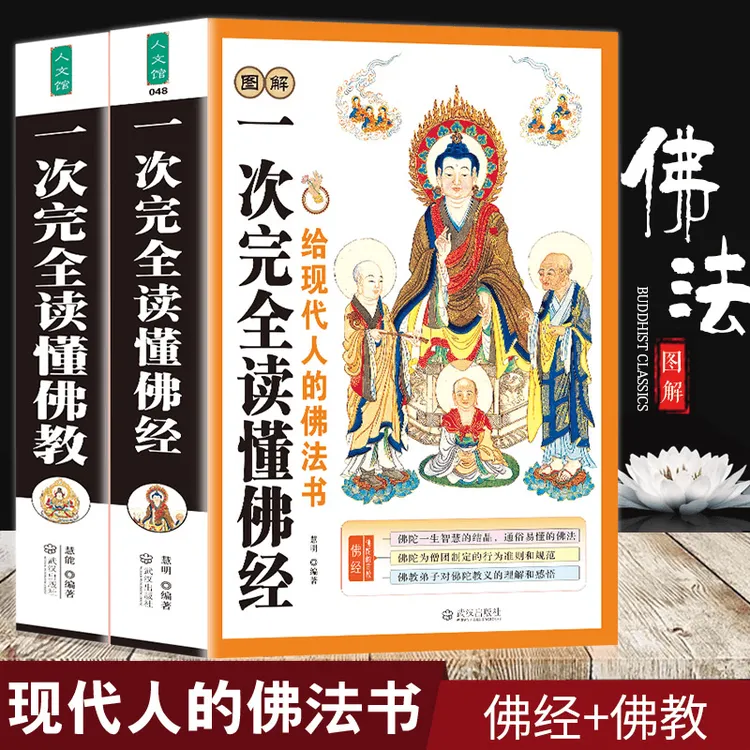 图解一次完读懂佛经正版学佛经佛学佛教入门基础知识精选经典阅读