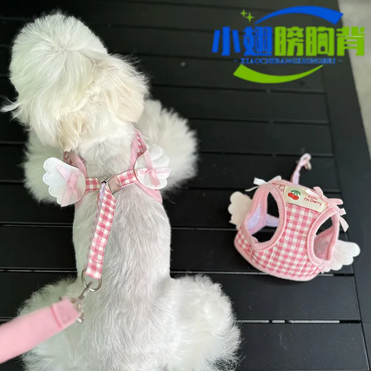 宠物狗狗牵引绳泰迪比熊猫咪家用遛狗绳小型犬外出胸背带牵引绳子
