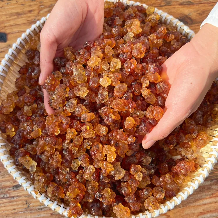 【已开价】〖桃花泪〗天然人工采摘带树皮桃胶501g轻食桃胶可搭配燕窝