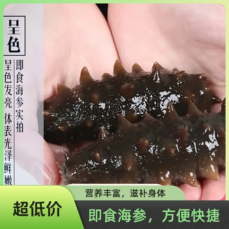 【顺丰冷链包邮】珍瑧堂高品质正宗大连即食海参口感Q弹
