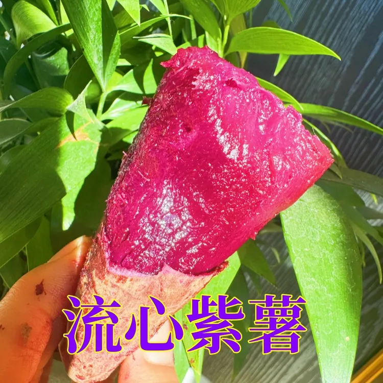 【糖心紫薯】高山黑美人新鲜番薯烤薯地瓜山芋红薯沙地蜜甜5斤