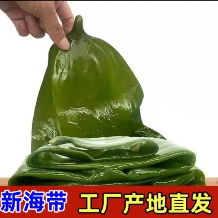 大连特产新鲜盐渍海带5斤/箱（含箱5斤）营养产品老少皆宜食用脆爽