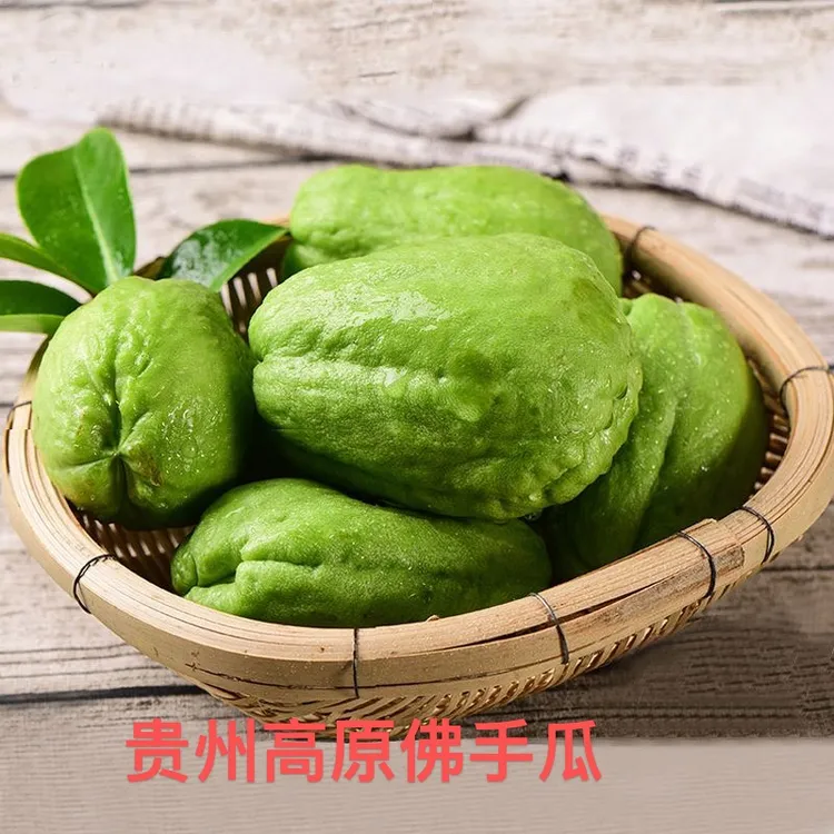 （顺丰包邮）贵州农家自种新鲜 佛手瓜 洋丝瓜 健康蔬菜