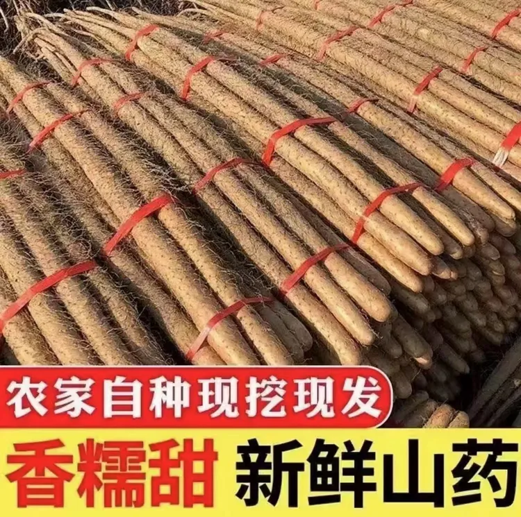 【5斤大果】正宗铁棍山药淮山 粉糯甘甜 新鲜营养产地直发