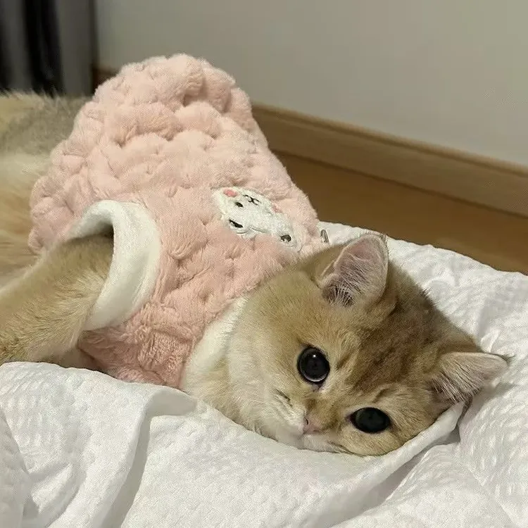 秋冬宠物猫咪衣服保暖加厚马甲绒衣无毛猫布偶猫蓝猫幼猫可爱背心