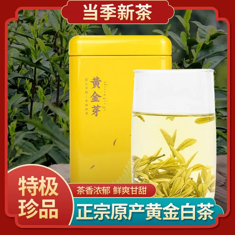 明前嫩芽天目湖黄金芽白茶溧阳特产特级鲜爽高山绿茶叶浓香黄芽