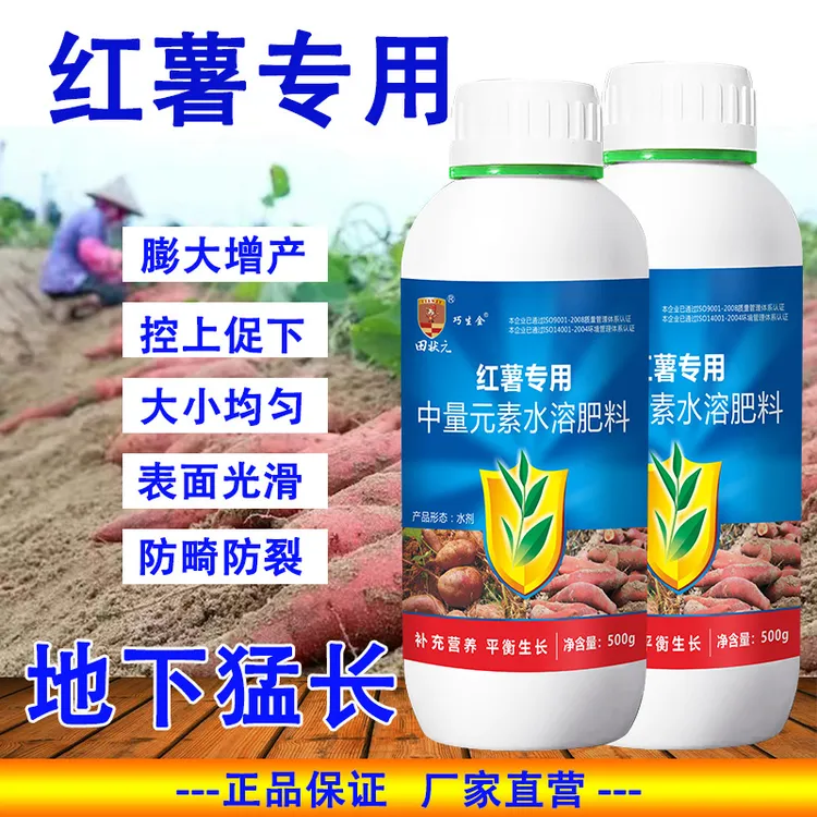 红薯专用膨大增产高产表面光滑大小均匀叶面肥