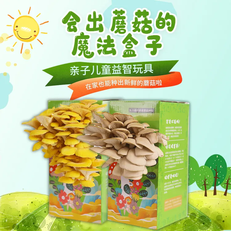 老少皆宜手工DIY家庭种植蘑菇蘑菇盒益智种植1.2KG送喷壶