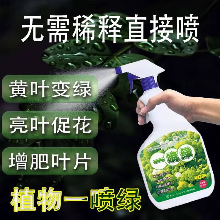 植物一绿黄叶病叶育苗营养液家庭花卉绿植绿植盆栽室内富贵竹一次