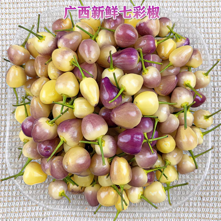 广西正宗七彩椒泡椒五彩辣椒腌制新鲜辣椒脆嫩肉厚脆爽1斤9斤包邮