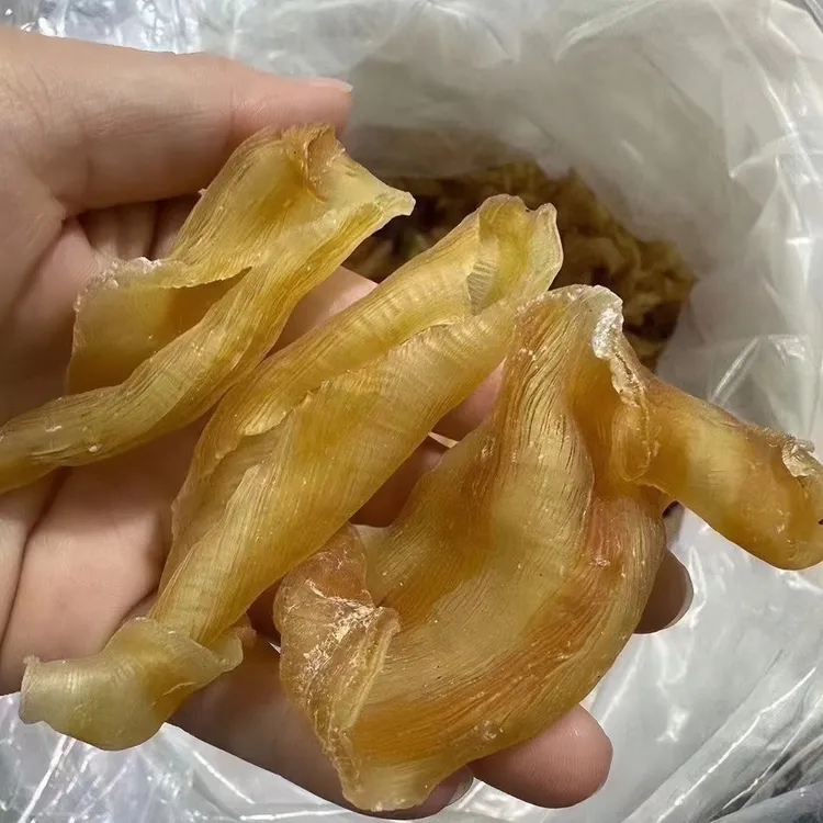 深海野生红鳘胶 凤尾胶 胶原蛋白满满 炖甜品 花胶奶冻腥味少