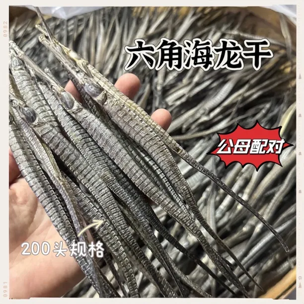 海龙干深海天然六角海龙干大规格炖汤泡酒公母配对