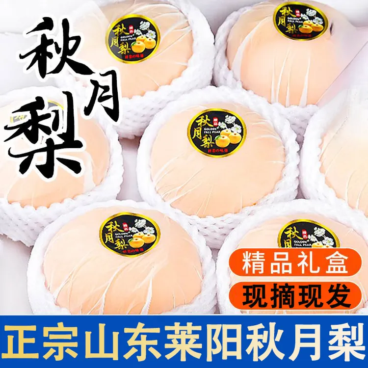 【纯正秋月梨】正宗莱阳秋月梨新鲜中秋送礼现摘现发脆甜多汁大果