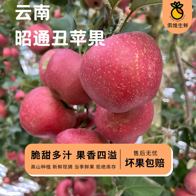 云南昭通丑苹果现摘现发果园直发新鲜水果