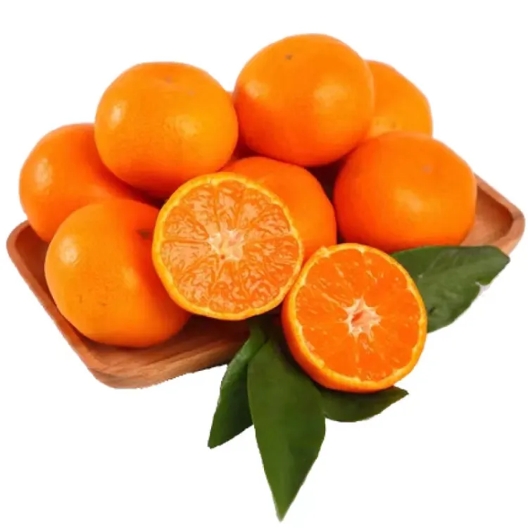 正宗精品采摘甄选涌泉高山无核新鲜蜜桔现货现发