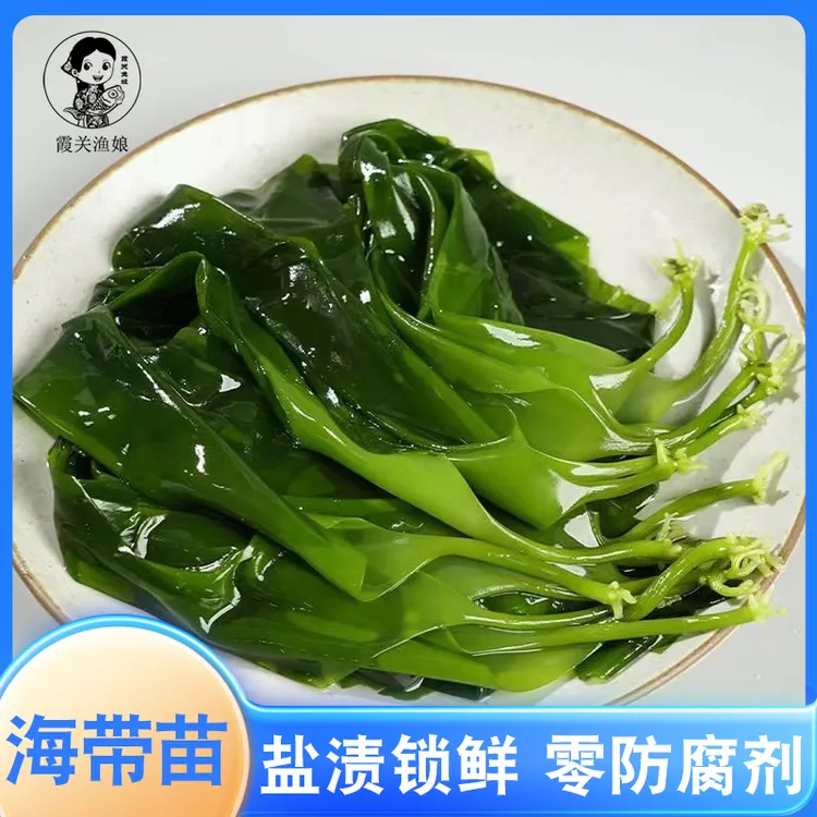 优质鲜嫩海带苗3秒火锅冷冻食材500克*2包