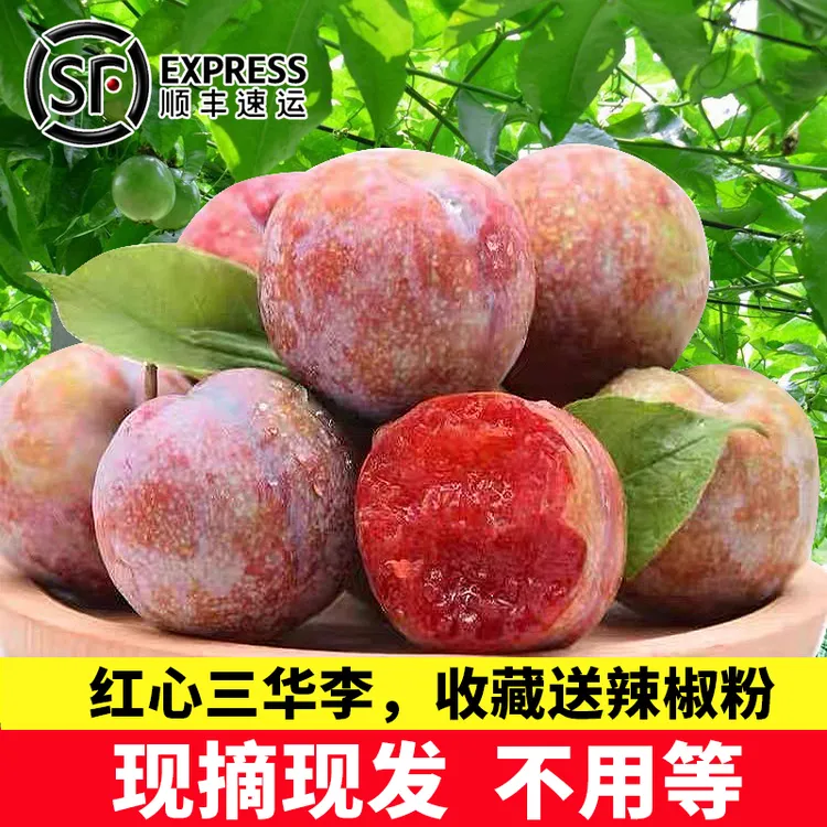 【现货顺丰】广东省信宜钱排三华李红心李爽脆李子新鲜当季应季水果