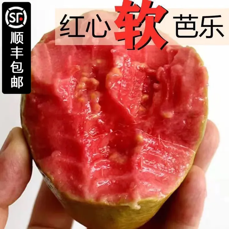 【顺丰包邮】广西红心软心芭乐红心番石榴新鲜当季应季水果 3/5斤