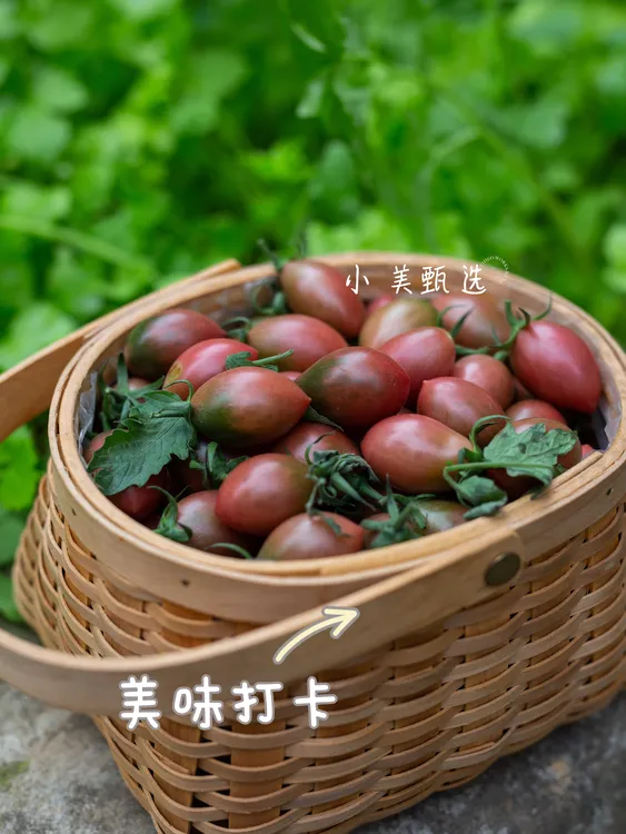 【京东】紫弹头小番茄圣女果新鲜樱桃西红柿孕妇水果蔬菜酸甜多汁