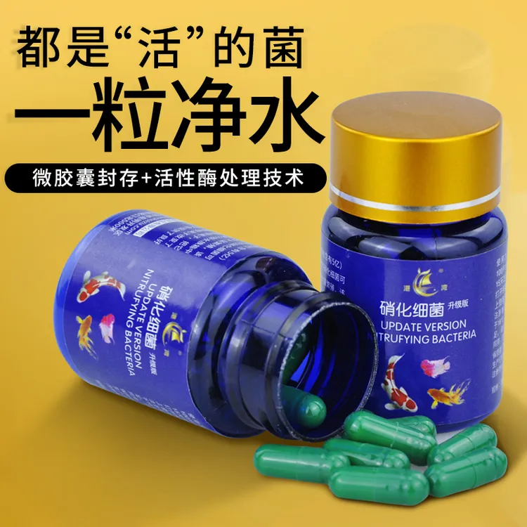 硝化细菌胶囊硝化细菌鱼缸用净水剂消化细菌干粉水族鱼用活菌干粉
