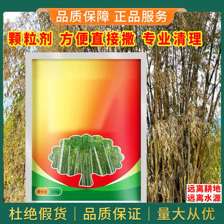 杂竹环嗪净荒地专用处理杂草竹子灌木杂木长效渗透烂根型不是肥料