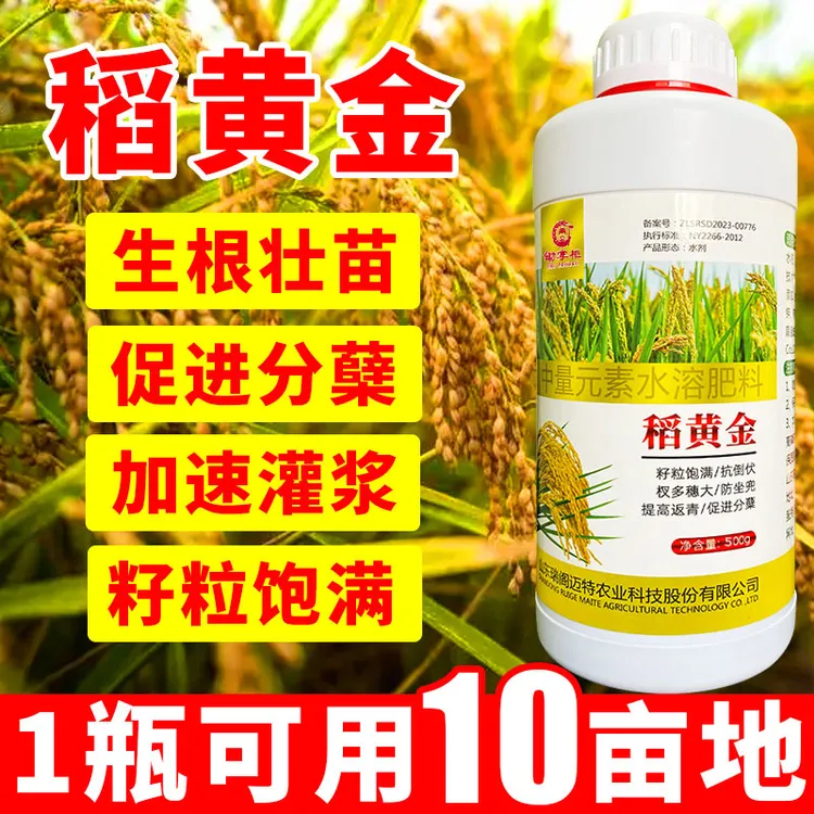 稻黄金水稻增产叶面肥粒粒饱满抗倒伏促分蘖返青灌浆早熟增产丰收