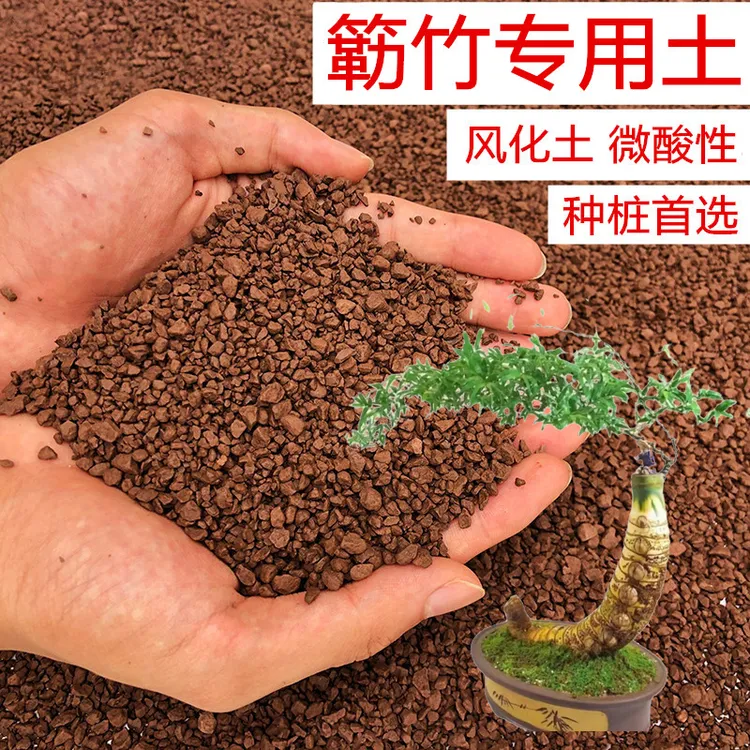 小叶勒竹专用土营养土弱酸性风化土天然大小混合颗粒土竹子专用土