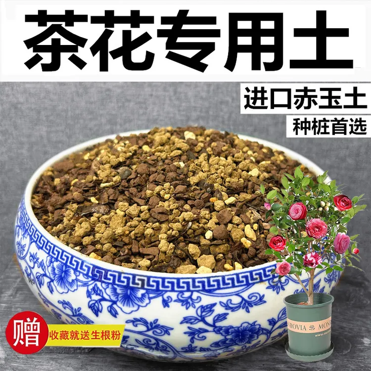 茶花专用土赤玉土弱酸性天然风化颗粒土营养土种植土玉肥专用肥