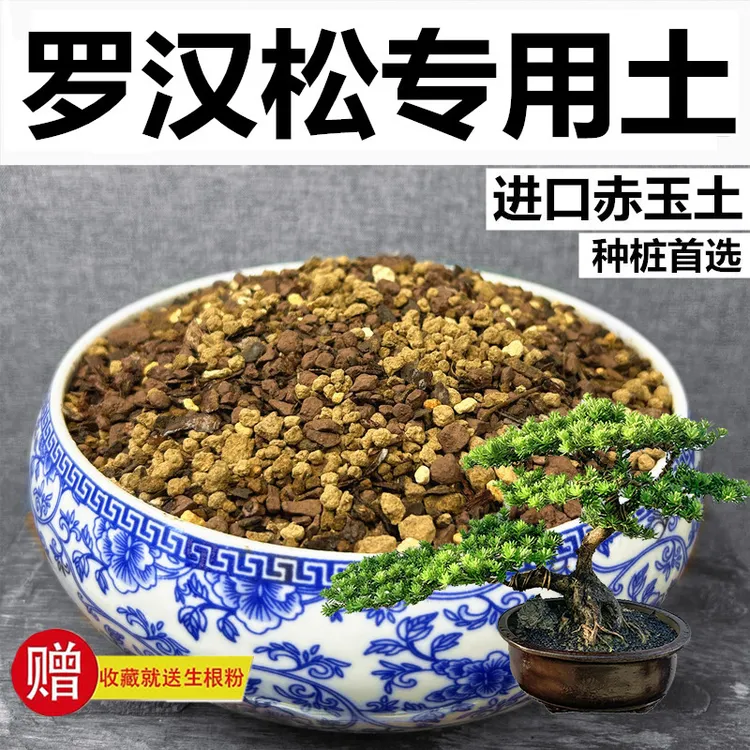 罗汉松专用土赤玉土风化土颗粒土营养土种植土弱酸红土玉肥专用肥