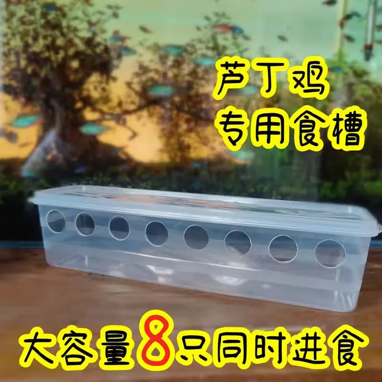 芦丁鸡8孔大容量喂食器防刨食盒卢丁鸡宠物小鸡专用盒食槽饮水器