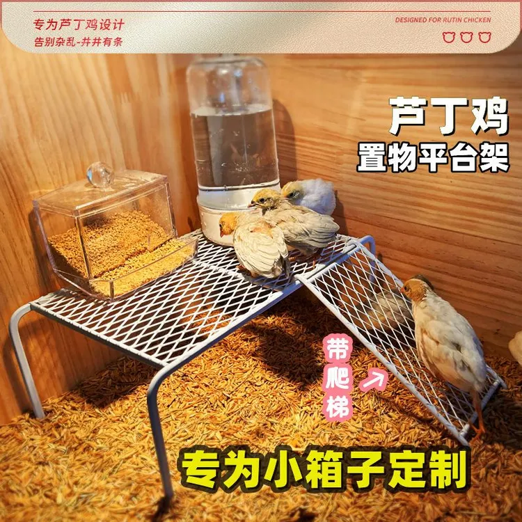 芦丁鸡漏网桌造景喝水置物架平台架喂食盒水壶架子网格爬梯置物架