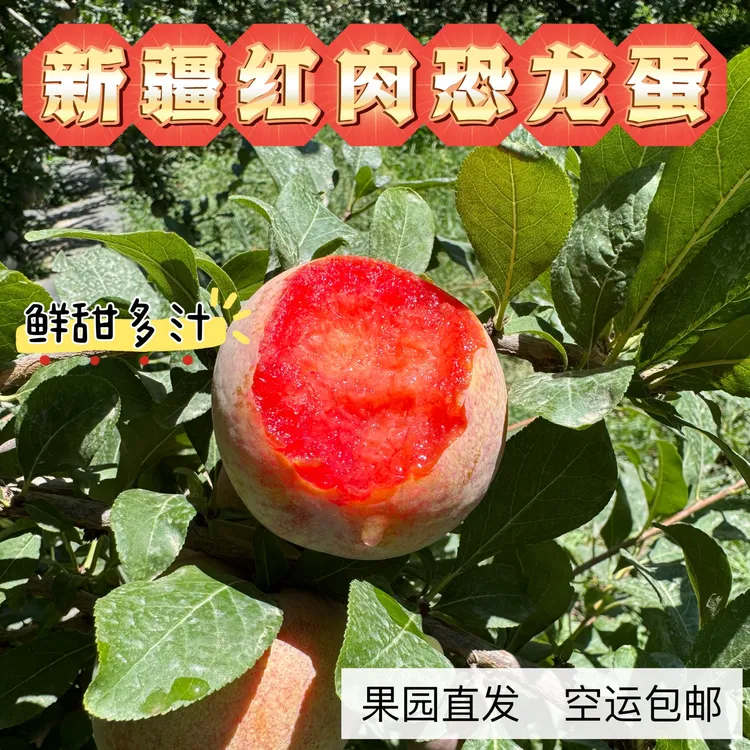 【恐龙蛋】新疆红皮红肉恐龙蛋杏李酸甜甜可口多汁风味浓郁产地包邮