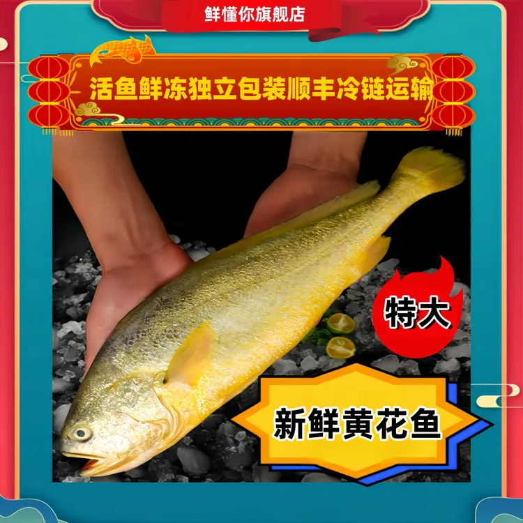 XIANDONGNI/鲜懂你新鲜生态黄花鱼 每条1.4/1.5斤  顺丰冷链运输