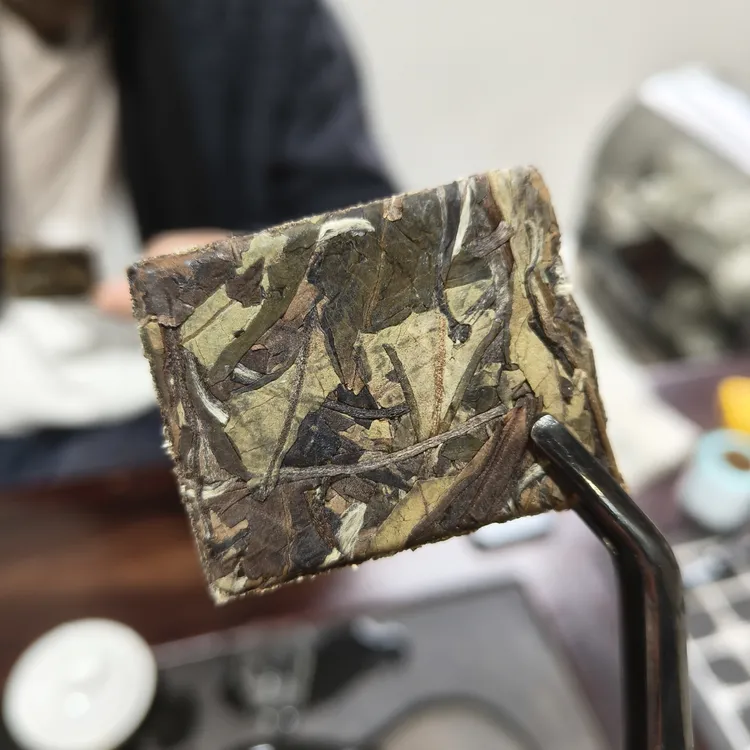 2020年荒小饼2.0寿眉/福鼎白茶50片