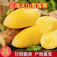 【大长果】云南雪莲果皮薄肉脆清甜多汁净重5斤4-10个
