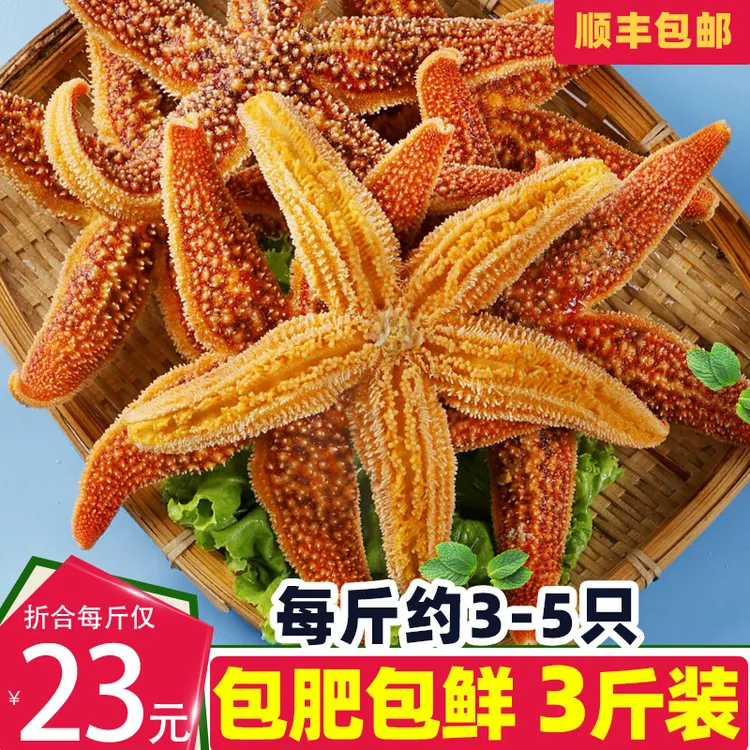 海星鲜活派大星新鲜熟冻速冻海星满籽海鲜野生五角星食用海星3斤