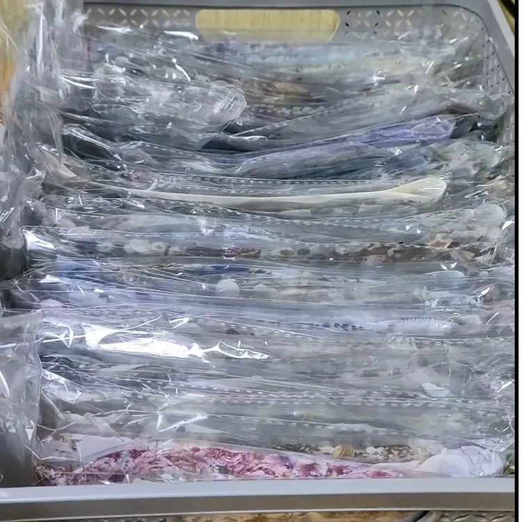 社团手帐胶带暑期包30条整循环（各材质随机）