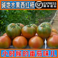 【爆款热卖】3/5斤装盐碱地西红柿 现摘番茄 铁皮草莓柿子顺丰包邮