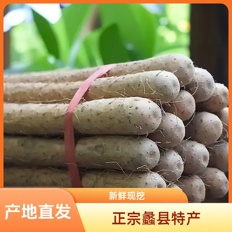 正宗蠡县小白嘴麻山药（80-100）特级大大果