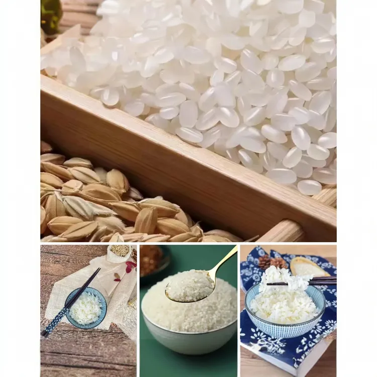 锦凌粮友碱地大米（10斤）真空装  凌海建业碱地清水大米 东北大米