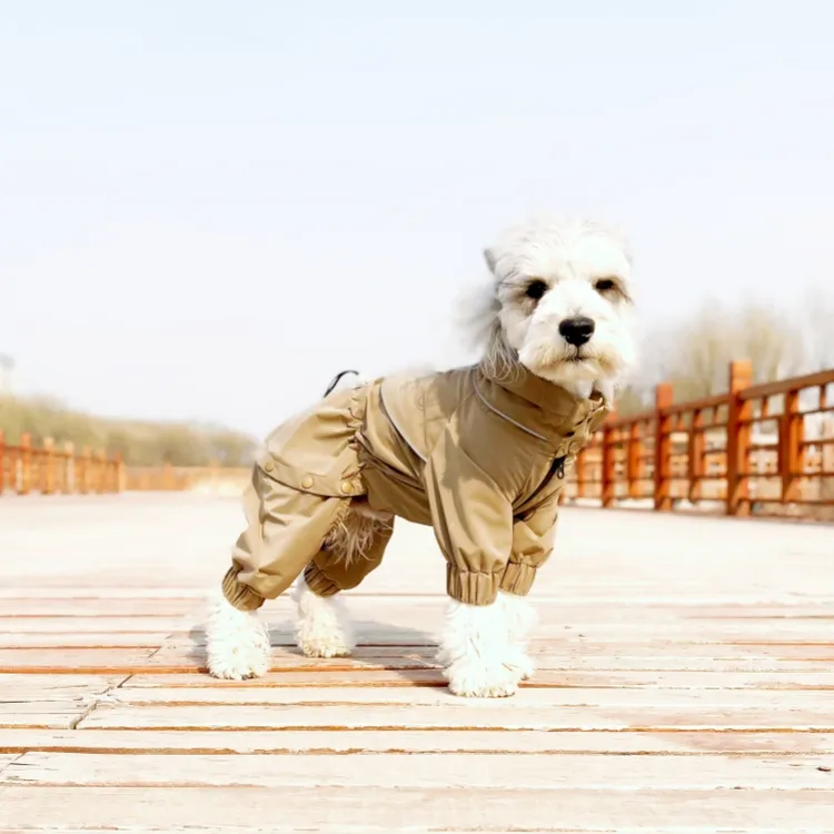 【巴仔原创】春季酷潮雪纳瑞泰迪牵引一体多用途可变宠物风衣定制