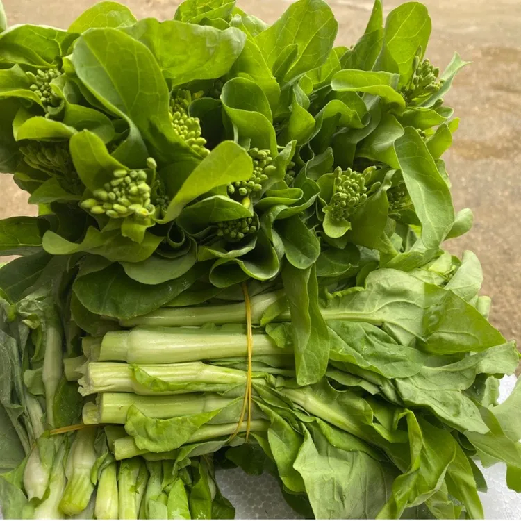 贵州高山露天白菜苔 现摘现打包(泡沫箱发货)