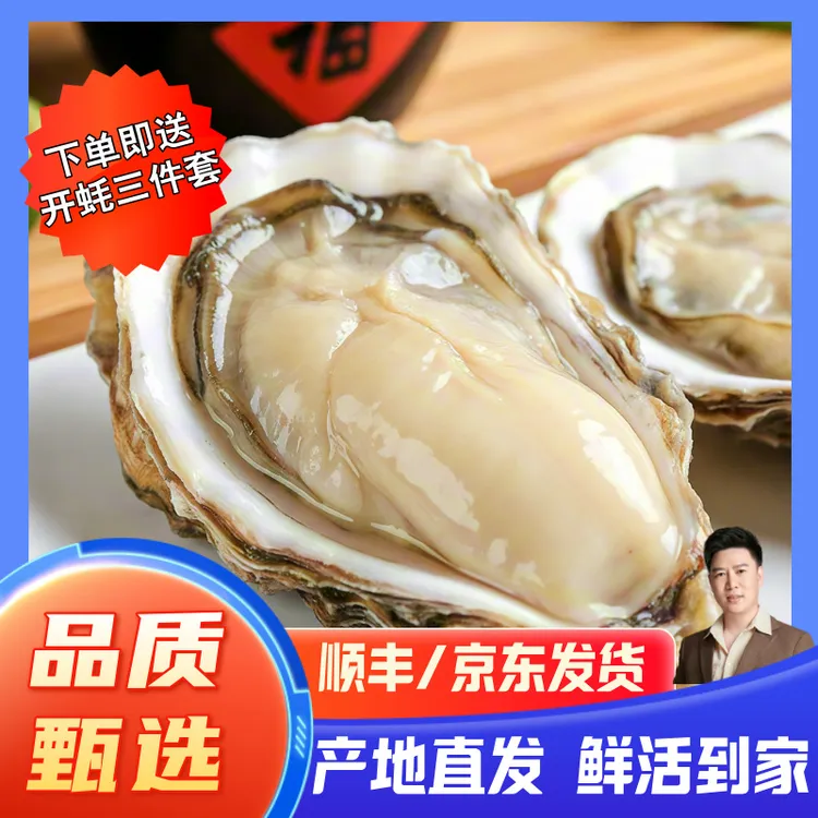 小文哥乳山生蚝贝类海牡蛎海蛎子水产品烧烤特大肥整箱5斤装9斤装