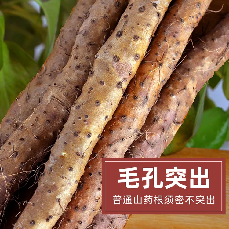 【小张专属】河南焦作温县正宗垆土地铁棍山药